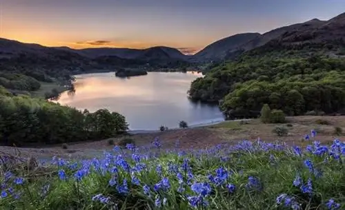 Закат в Грасмере с колокольчиками. Copyright Фотография Гарри Джонсона @harryfoto
