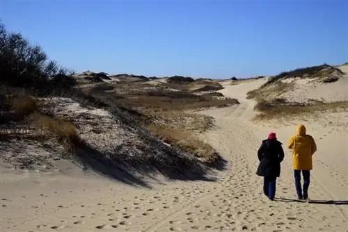 Национальный морской берег Кейп-Код