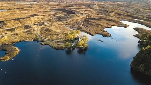 зеленый путешественник зеленый путешественник