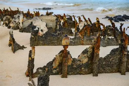 Остатки барж времен Второй мировой войны выбросило на берег Санта-Крус, и со временем эрозия оставила на песке уникальную скульптуру.