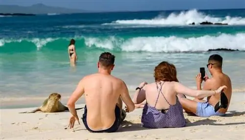 Животный мир Галапагосских островов не боится людей, поэтому близкие встречи с ними стали обычным явлением.