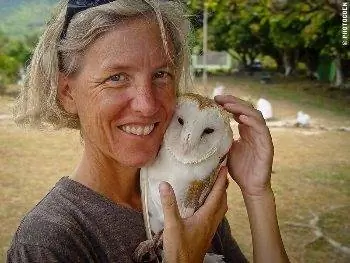 Эквадор: верхом на деревьях в лесу Чоко