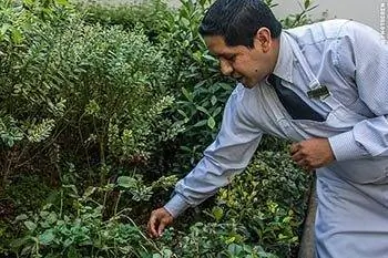 Эквадор: заслуженное купание