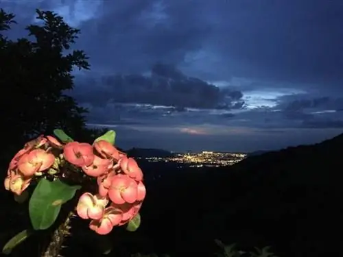 Ночной вид на Санта-Марту с кофейной фермы Канделария.