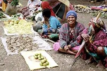 Папуа-Новая Гвинея, последний рубеж?