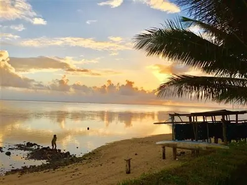 Наш таитянский сосед играет на скалах на закате на Муреа.