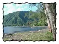 дерзкий таитиити