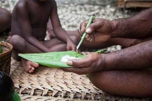 Церемония приветствия Таталонга начинается с того, что Примо Пукукеса смешивает гашеную известь (золу от сожженных кальциевых раковин) с листом, чтобы жевать его вместе с орехом бетеля. Деревня Луматопопохо, Гуадалканал. Нажмите здесь, чтобы увидеть линии разреза