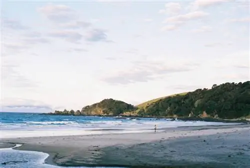 Anchor Bay в региональном парке Tawharanui в Окленде. Фотографии Джоно Шилдса.