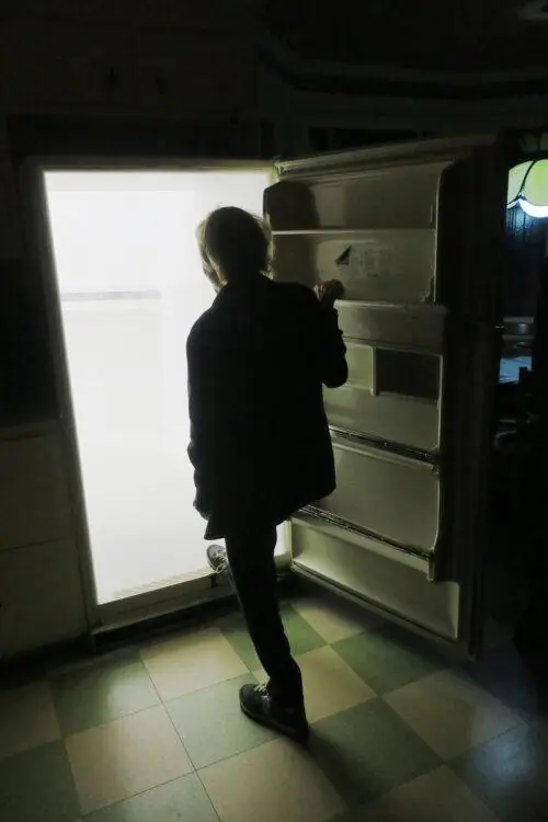 Ваша повседневная прогулка по холодильнику 2021 03 04 23 28 22 UTC