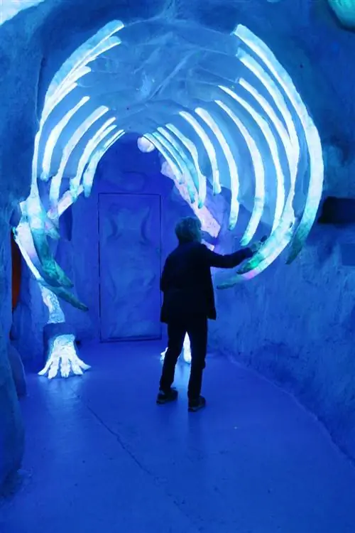 Игра в кости динозавра в Meow Wolf Santa Fe