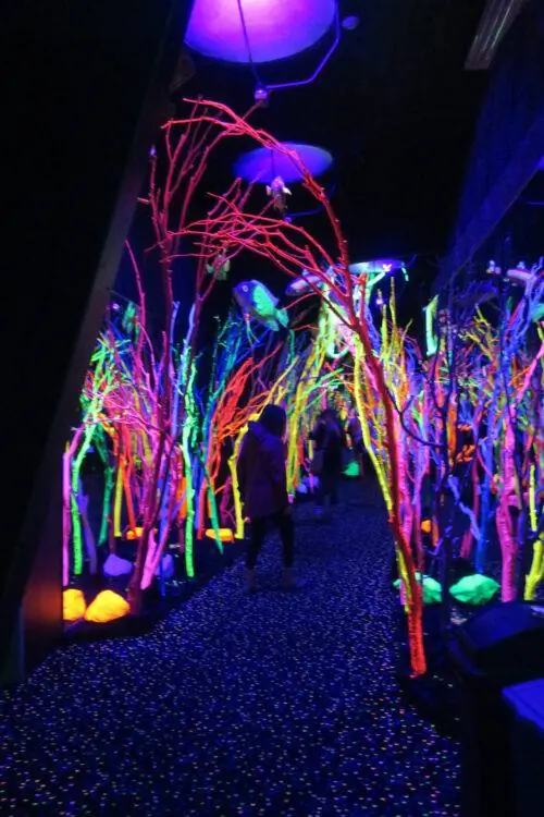 Еще одна типичная комната 2021 03 04 23 28 22 UTC