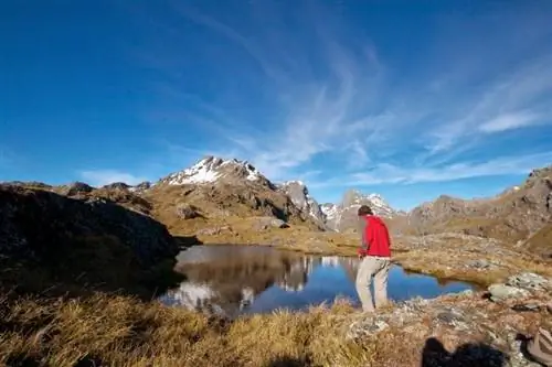 Попросите местных жителей помочь вам найти идеальное место для лагеря свободы в Новой Зеландии.