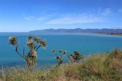 Вид на мыс Паллисер.