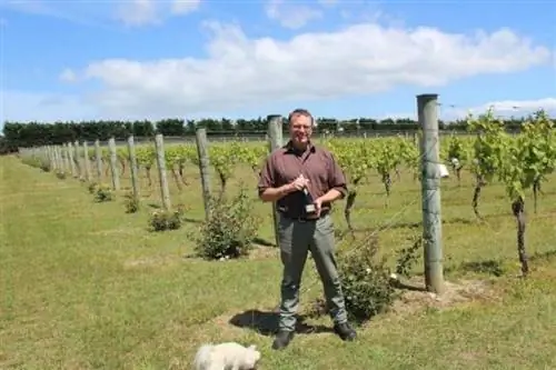 Винодел Margrain Strat Canning Martinborough.