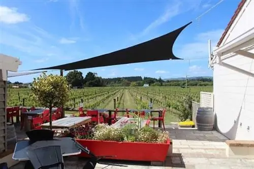 Кафе Margrain's Vineyard в Мартинборо