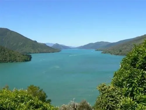 Живописный пролив Королевы Шарлотты по дороге в Нельсон, Новая Зеландия. Фотографии Макса Хартшорна.