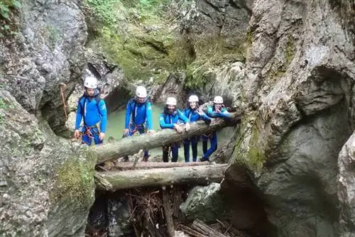 счастливый щелчок на бревнах