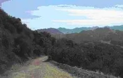 Каньон Топанга.