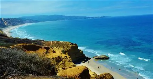 Государственный природный заповедник Торри Пайнс в Сан-Диего, Калифорния. Фотографии Норин Компаник.