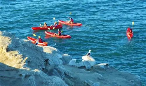 Каякинг в пещерах Ла-Хойя к северу от Сан-Диего, Калифорния.