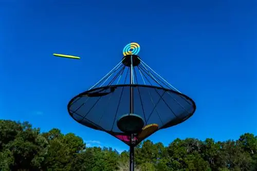 Веселье на День отца