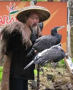 Продавец домашней птицы