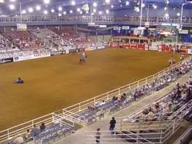 Мескитовое родео.