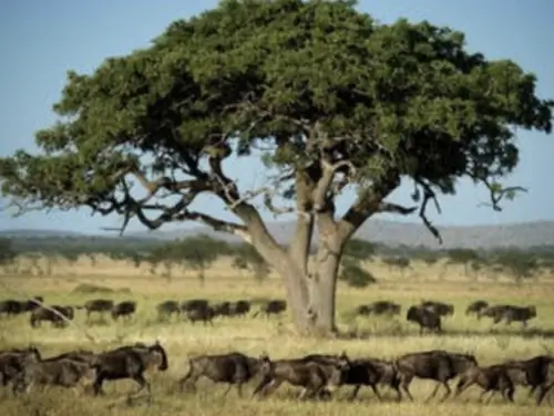 Снимок экрана 2021 08 02 в 14 56 04 PM