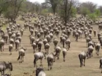 Скриншот 2021 08 02 в 14 55 47