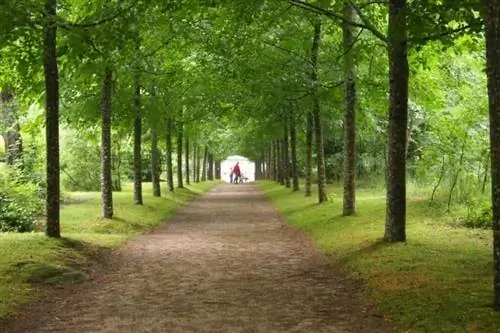 Резиденция Лемота художников, которые представляли деревню Клиссон как тосканскую.