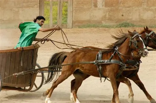 Гонки на колесницах в Джераше, Иордания