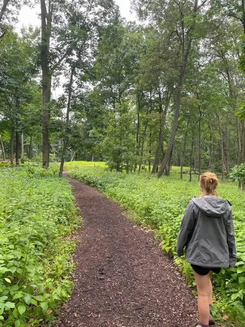Прогулка по лесу у национального памятника Effigy Mounds в Айове.