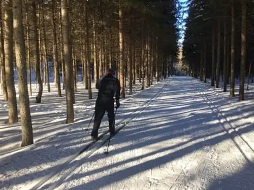 Катание на беговых лыжах возле Тремблана в Ski Du Fond.