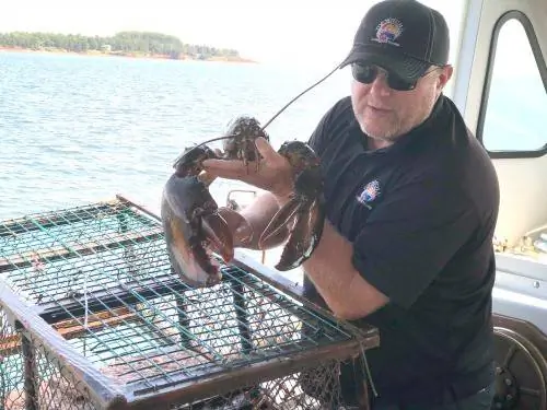 Капитан Марк Дженкинс, владелец Top Notch Lobster Tours и сам ловит омаров и тунца, демонстрирует особенно большого лобстера, которому более 30 лет, в гавани Шарлоттауна.