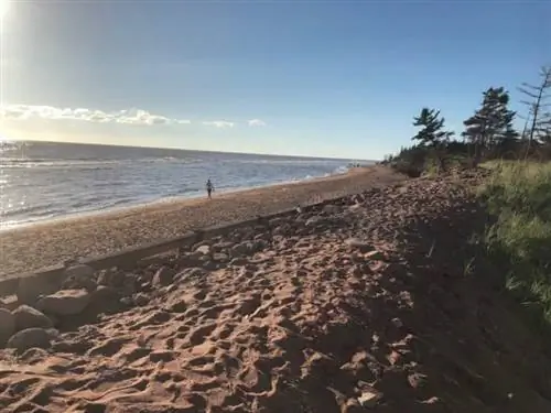 Пляж на западной стороне острова Принца Эдуарда.