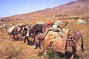 Ужин с кочевниками в Иране