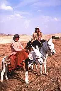 Ужин с кочевниками