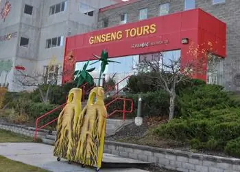 Женьшеневые туры в Sumore Ginseng Spa and Factory
