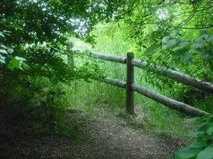 Woodland Trail Hulls Gulch, трудно поверить, что это в городе! фотографии М. Дж. Маккензи.