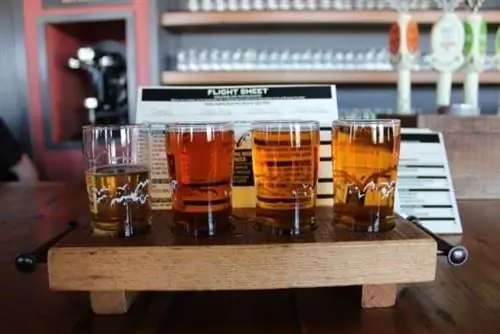 Полет в строю на Flying Dog