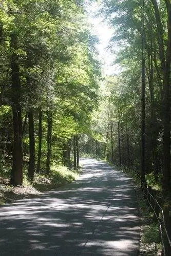 Маршрут New England Greenway начинается в Нью-Йорке и заканчивается в Канаде.