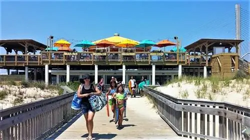 Пляжный клуб Big Chill Beach Club в Дьюи-Бич, штат Делавэр, находится на переднем крае защиты окружающей среды.