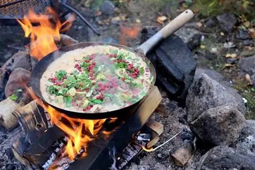 Традиционные блюда включают использование местных свежих продуктов, таких как ягоды, грибы, мясо местной дичи и рыба.