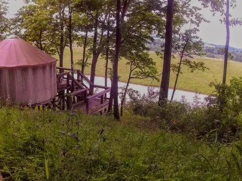 вид на дикую природу из юрты