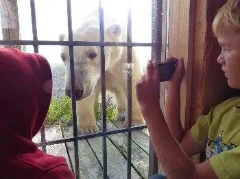 Привет, мальчики! На фото Мэрибет Бонд.