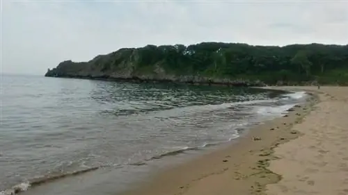 Залив Барафундл