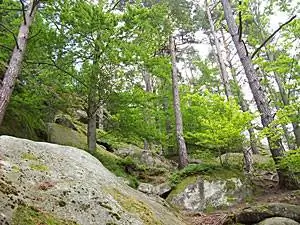 Природная красота Пульчинских скал