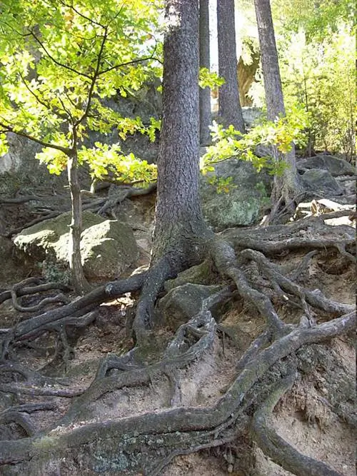 Водопад корней, Чертовы скалы