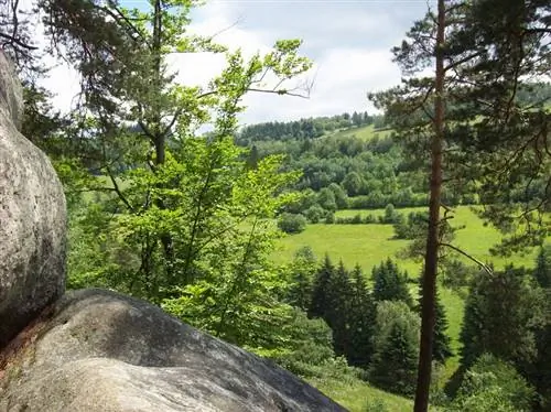 Мирные виды с Пульчинске Скалы в Валахии, Чехия. Фото Мелинды Брашер.